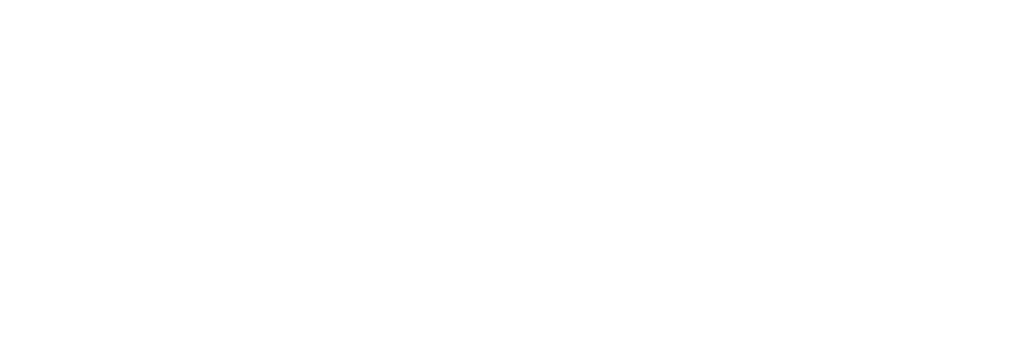 Logo Experis